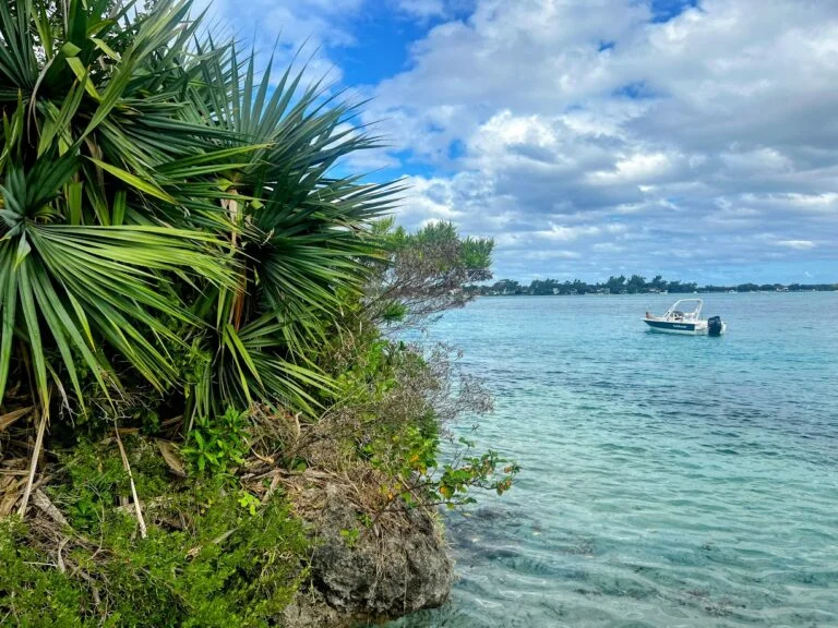 ile aux aigrettes island