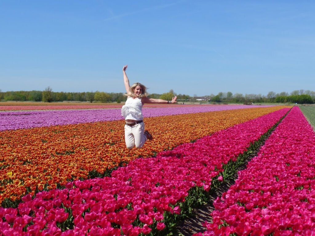 Kuekenhof – Tulip Fields