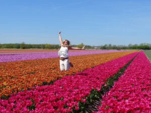 Kuekenhof – Tulip Fields