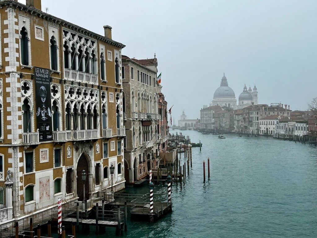 The view from Ponte dell'Accademia