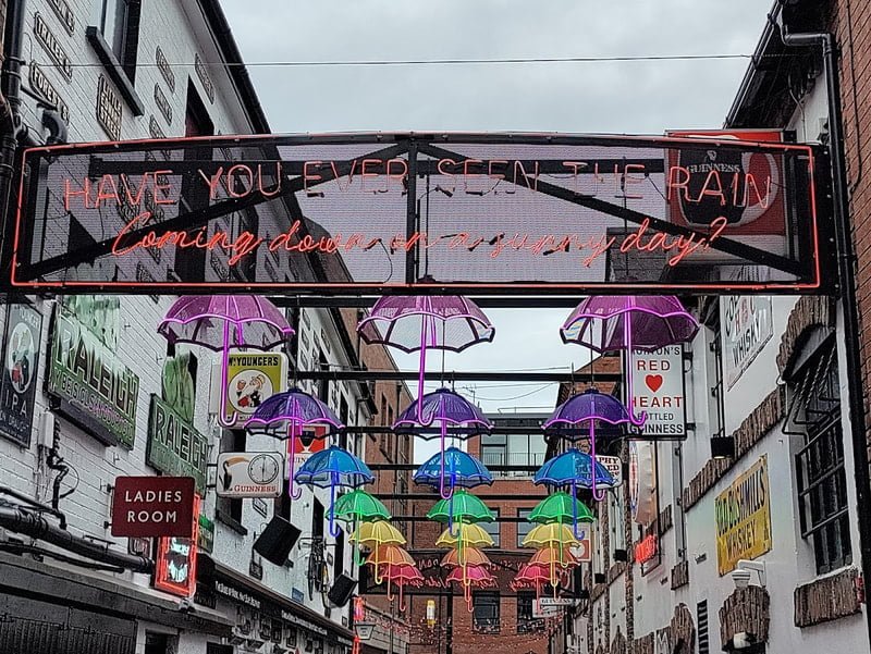 Belfast umbrellas