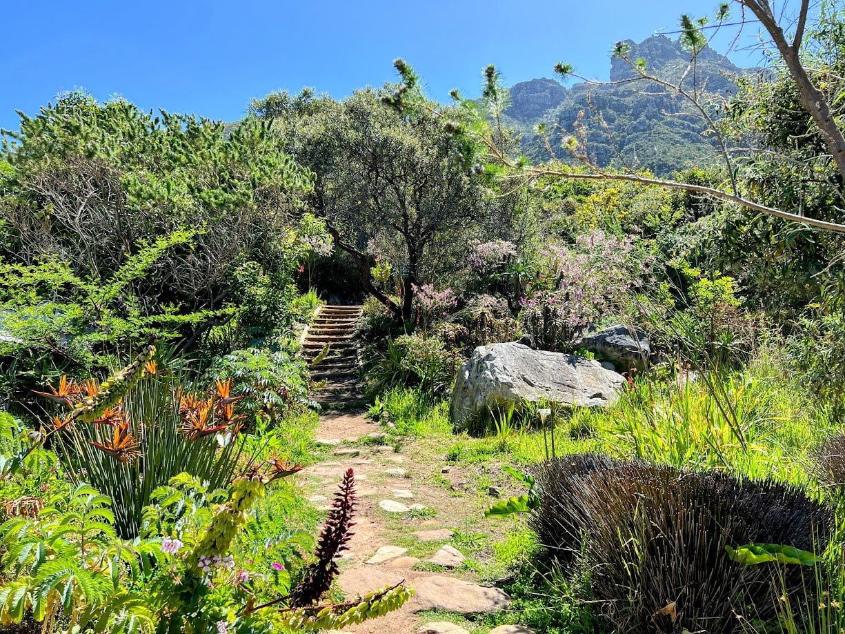 Kirstenbosch Botanical Gardens