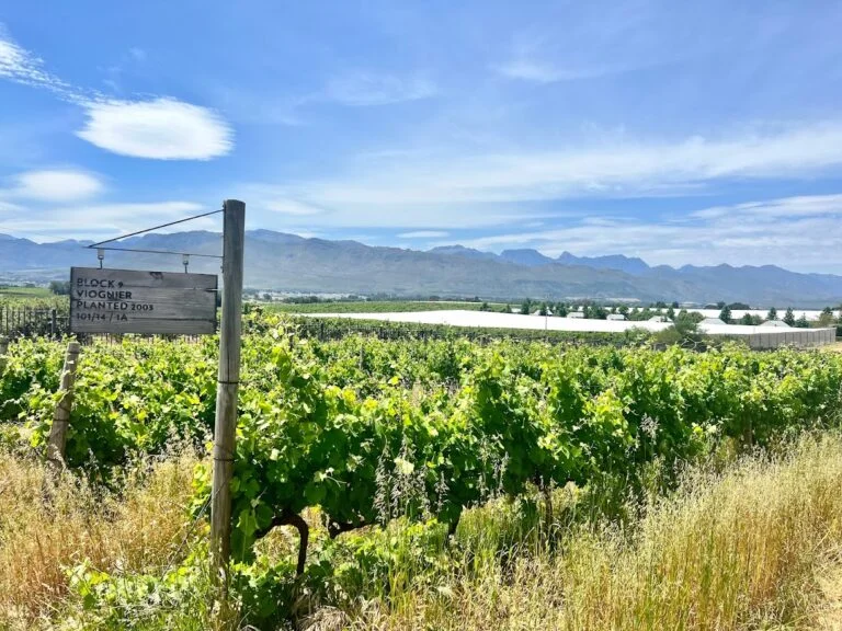 Wineries, Franchhoek, South Africa