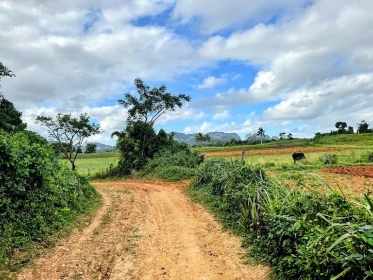 Vinales valley
