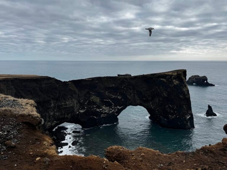 Dyrhólaey, Iceland
