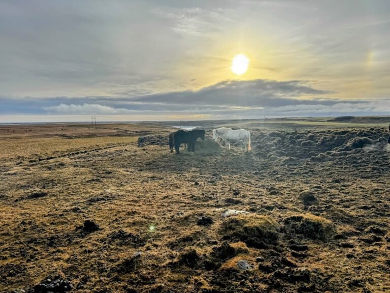 Iceland landscape