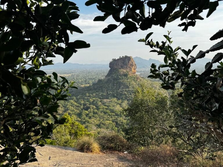 View of Lion Rock from Pidurangala rock, Sri Lanka