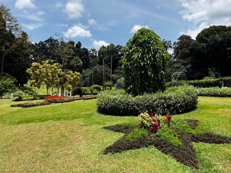Royal Botanic Gardens, Peradeniya