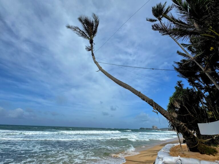 Palm Rope Swing, Dalawella Beach, Unawatuna Sri Lanka