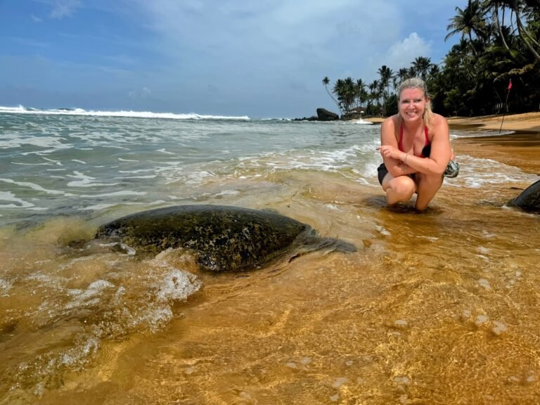 Turtle Beach, Sri Lanka