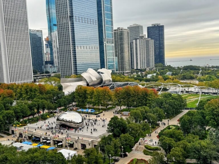 View from Cindy's, Chicago