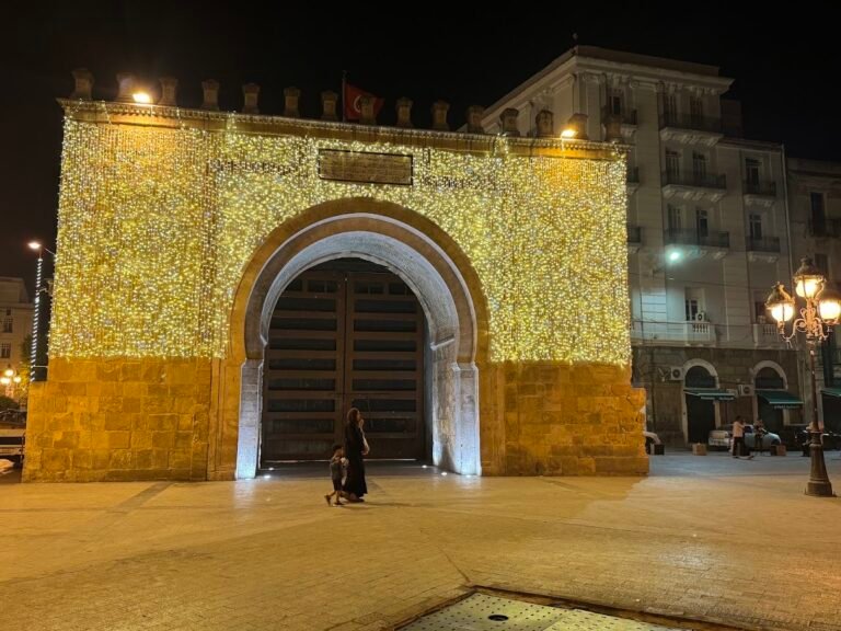 Bab El Bhar Gate at night, Tunis
